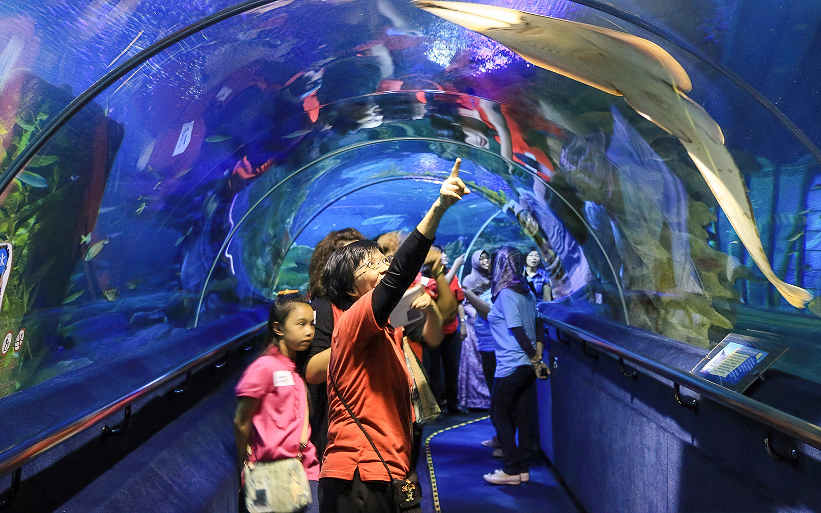 Discover Aquaria KLCC Tickets, Attractions, & More